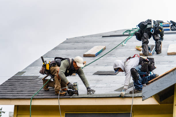 Professional Gutter Installation technician working in Ware Neck, VA